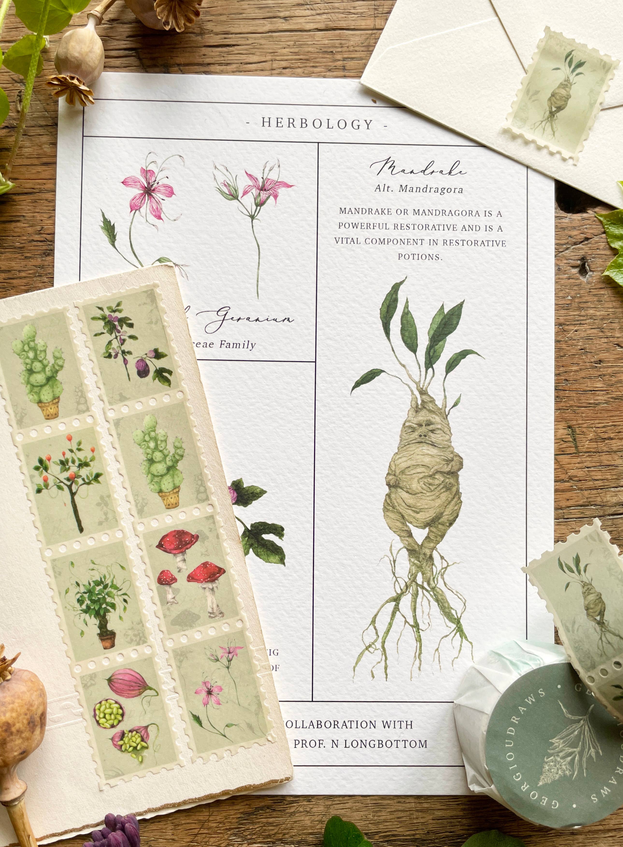 Georgiou Draws - Wholesale Washi Tape - Magical Botanical Herbology Stamp Washi Tape3