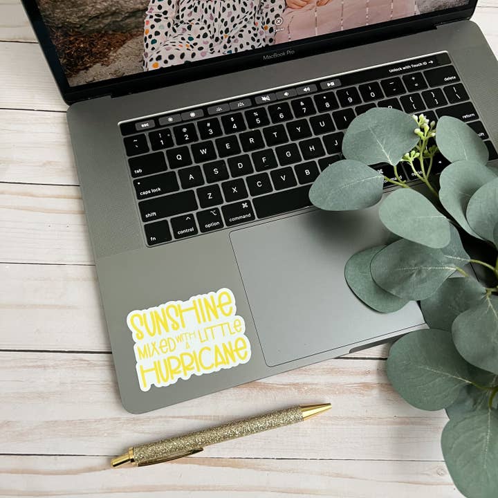 swaygirls - Vente Autocollant - Autocollant Sunshine & Hurricane | Autocollant amusant | Autocollant impertinent3