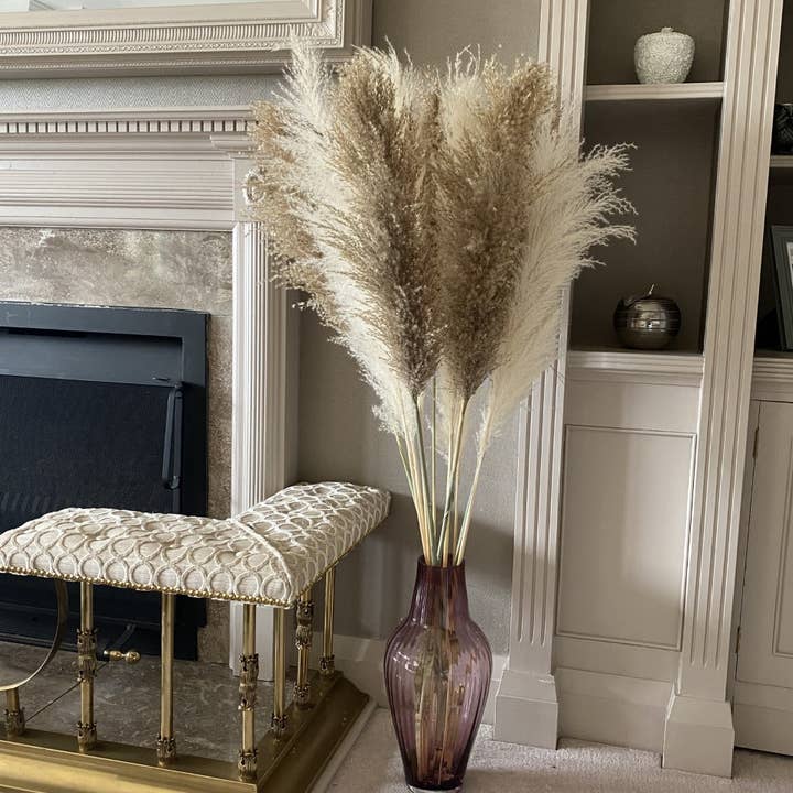 Mollie Sophia Ltd - Wholesale Dried/Pressed Flowers - Dried Pampas Grass 10 stems Collection Home Decor