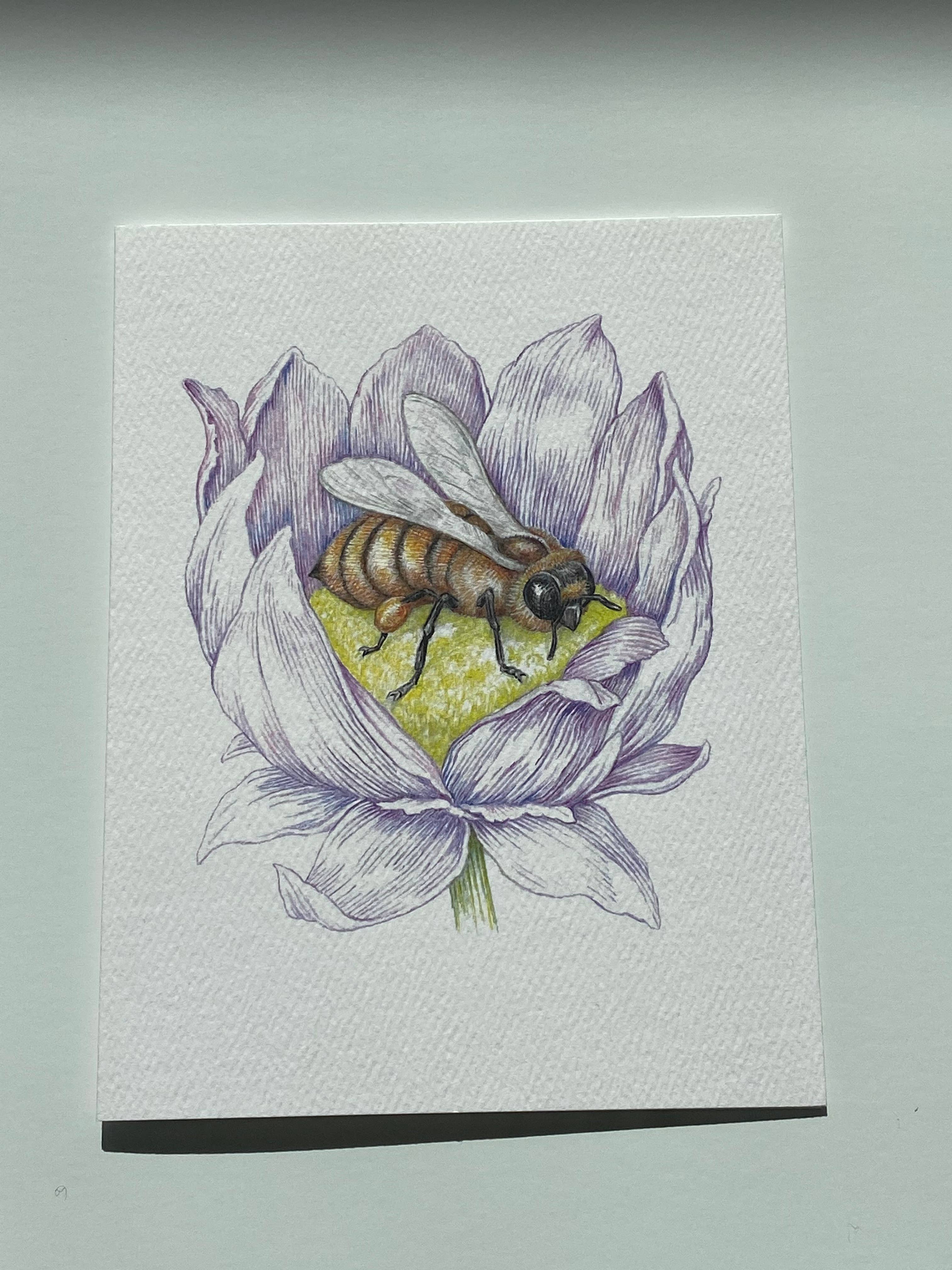 REMOVED BRAND - Wholesale Stationery/Notecard Set - Garden Pollinator Bee - Boxed Set3