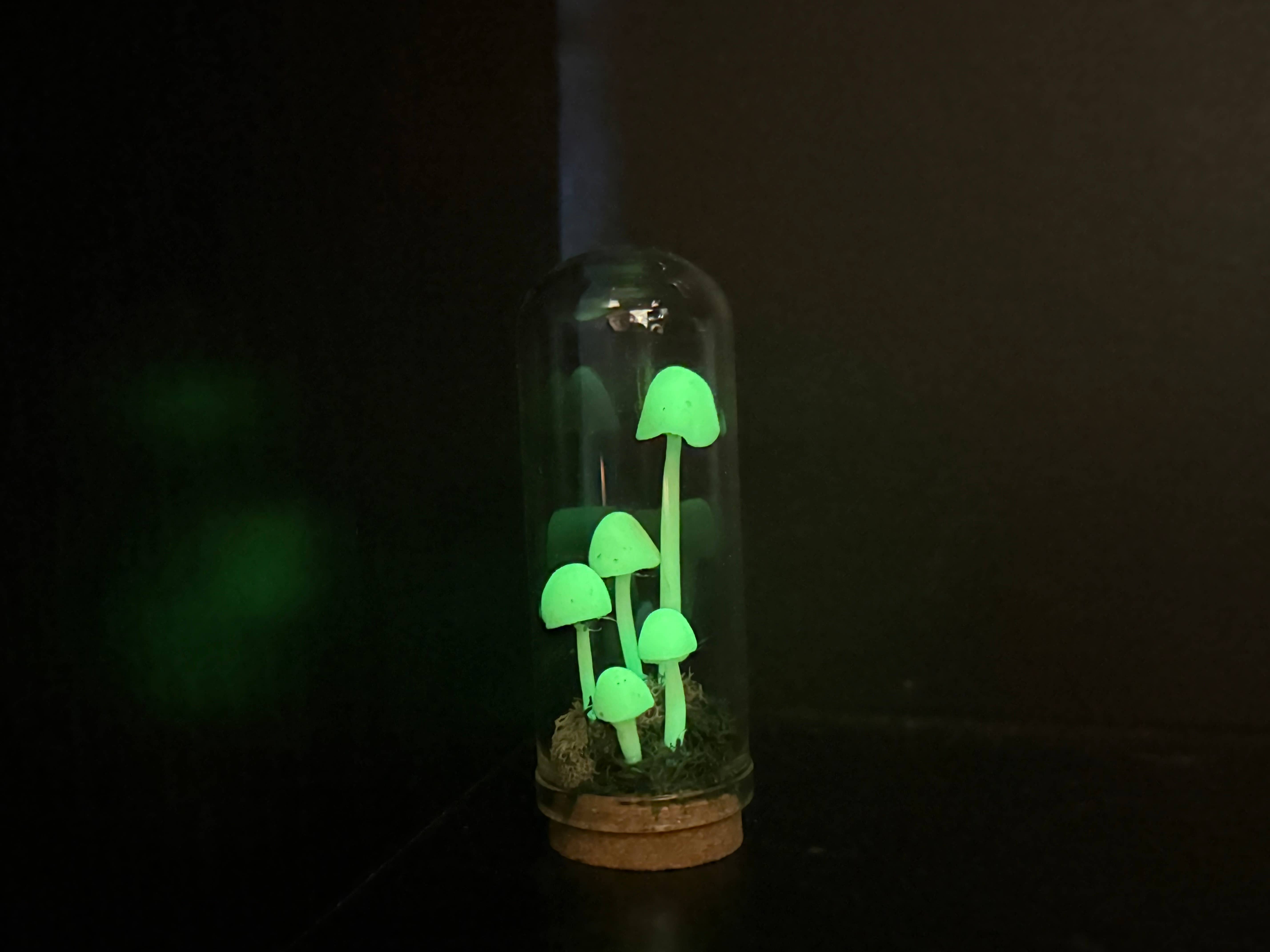 Leafy Ann Art - Wholesale Sculpture - Mushrooms glow mushroom terrarium2