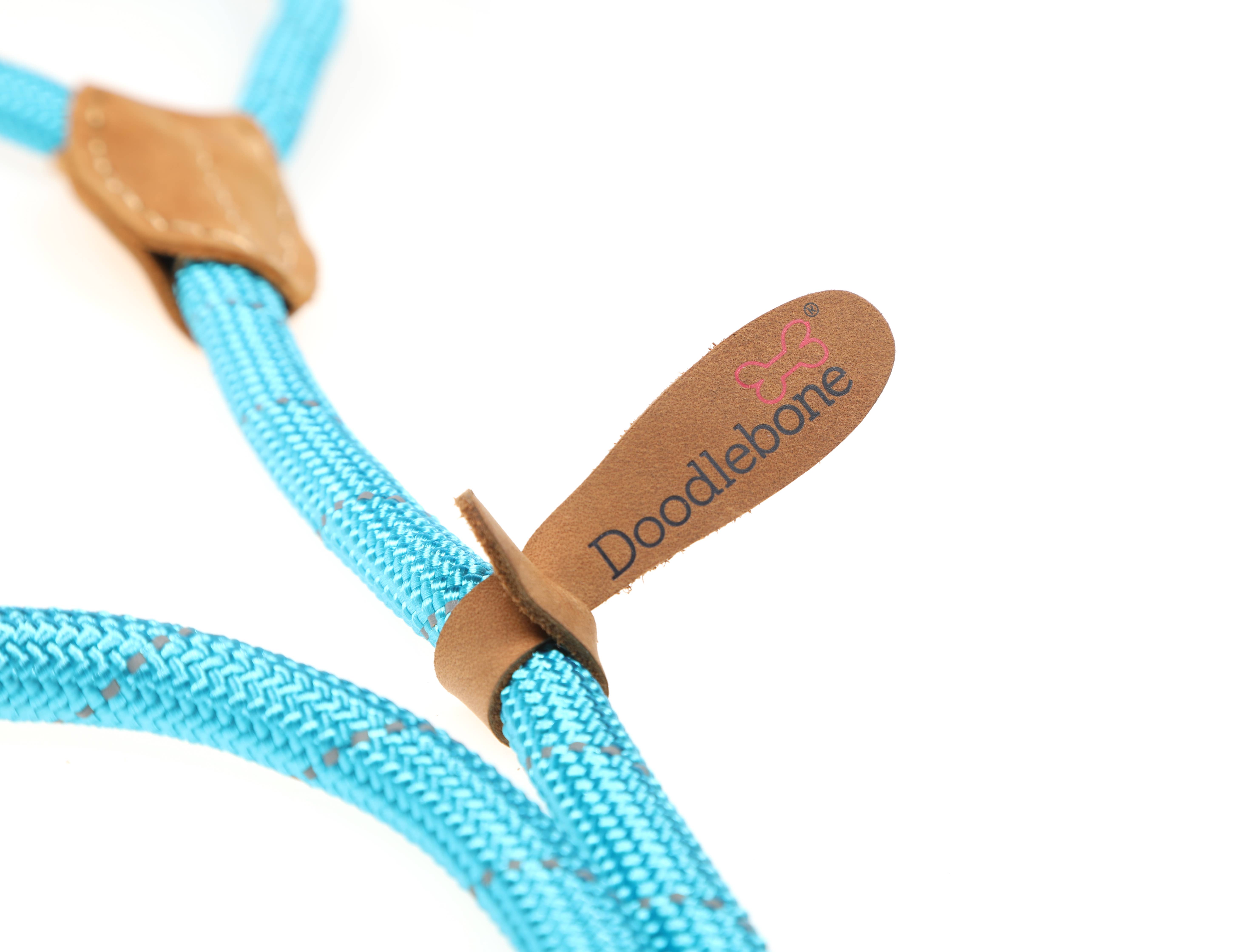 Doodlebone - Vente Laisse – chien - Laisse coulissante pour chien avec arrêt de sécurité3