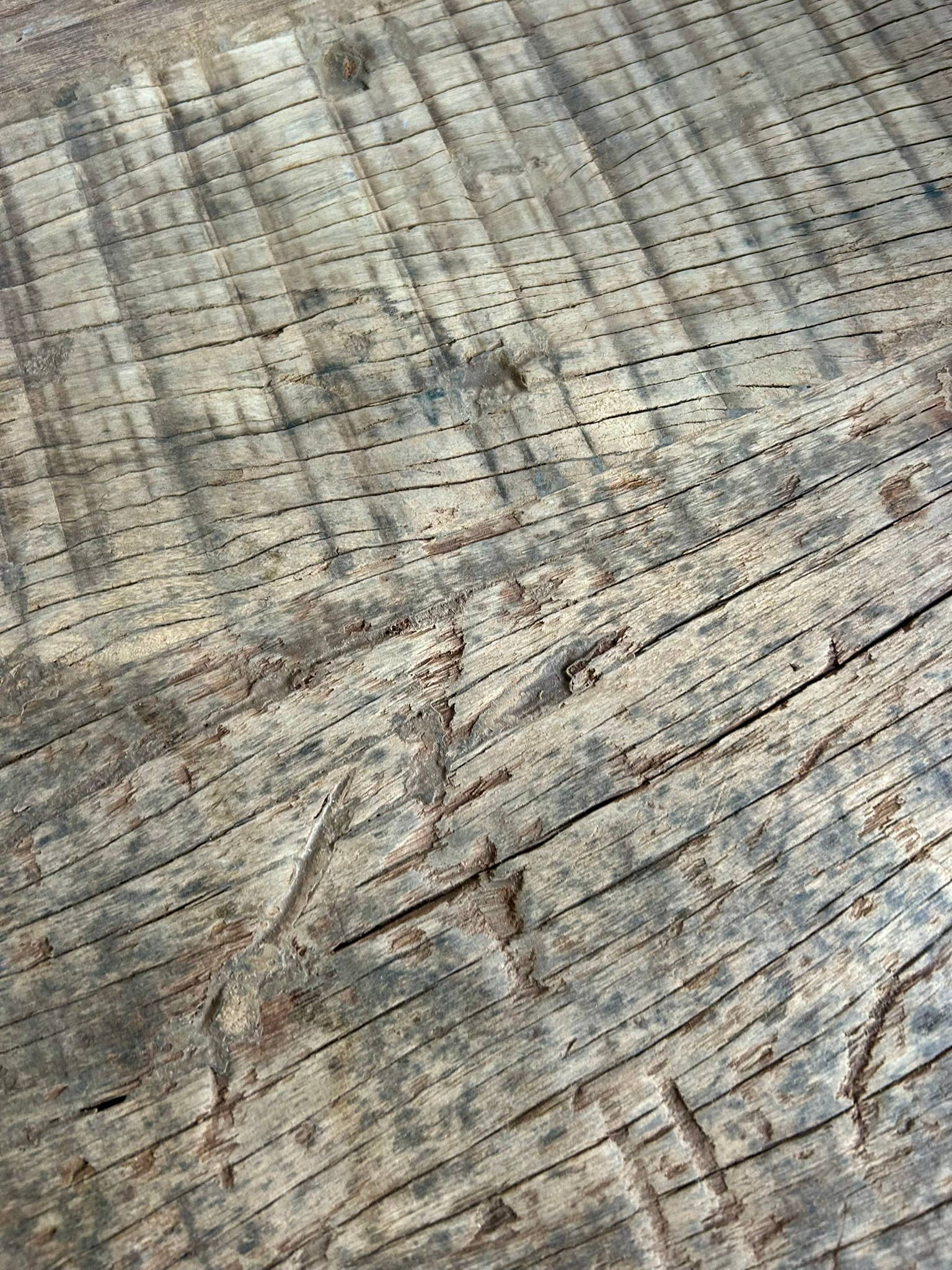 Paloma Black (Casa Natura Design, S.L.) – wholesale Sideboard – Large Functional Sideboard With 5 Drawers And 2 Open4