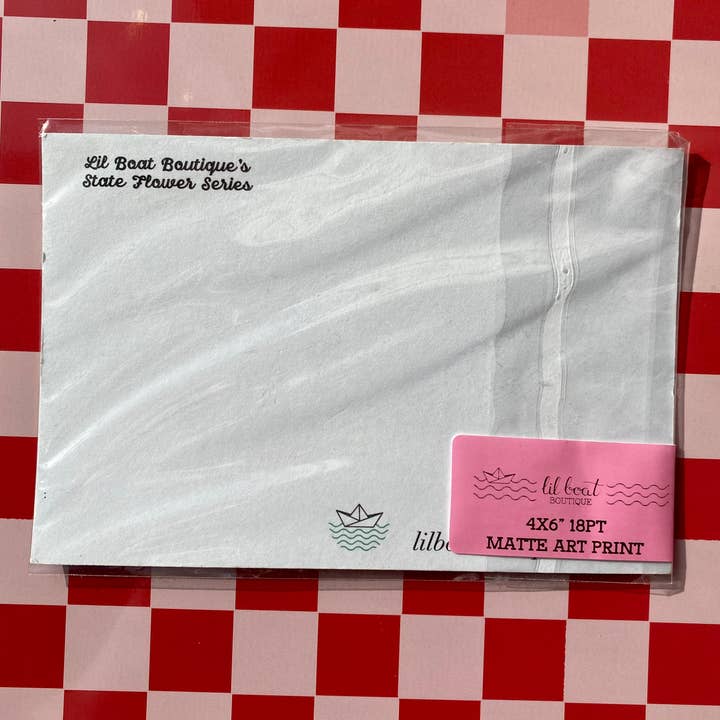 Lil Boat Boutique – Postal por atacado – Illinois Violet 4x6" Impressão postal State Flower Art2