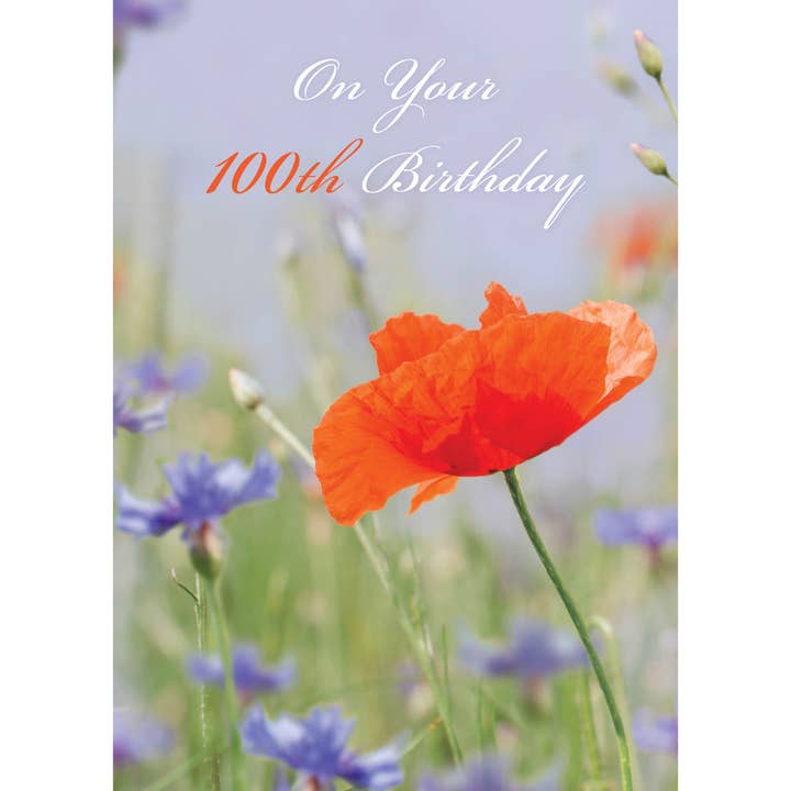 FR8402 Milestone Birthday Card / 100 for wholesale by Shade Tree Greetings