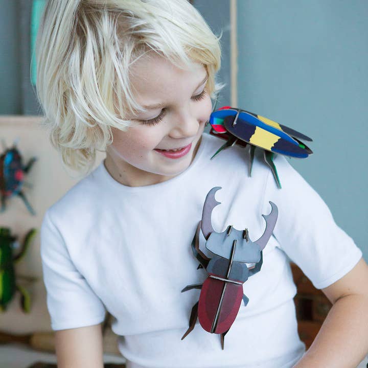 Until Pty Ltd - Wholesale Wall Accent - Studio Roof Wall Art Beetles (B7) Stag Beetle3