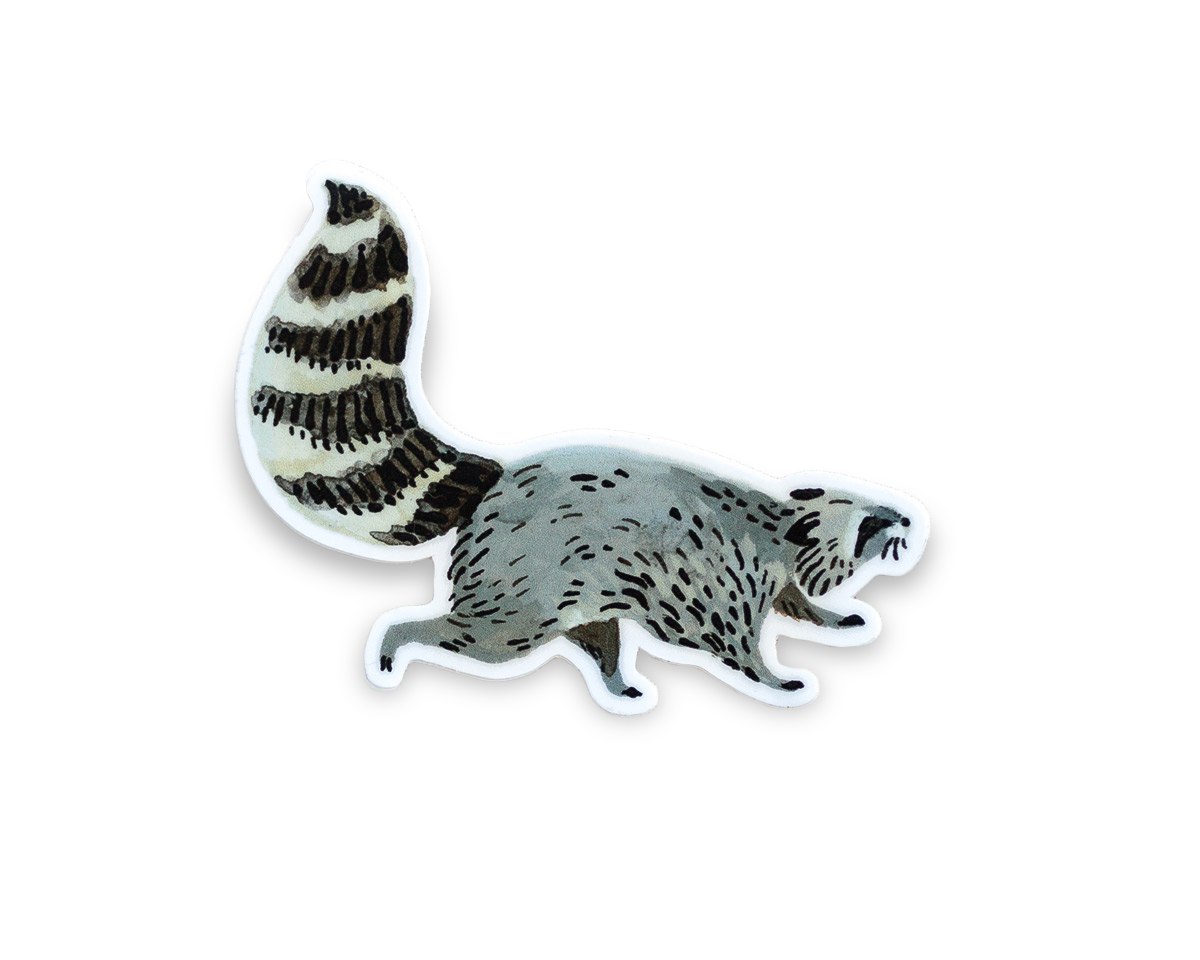 Wildship Studio - Vente Autocollant - Autocollant en vinyle Motif raton laveur animal4