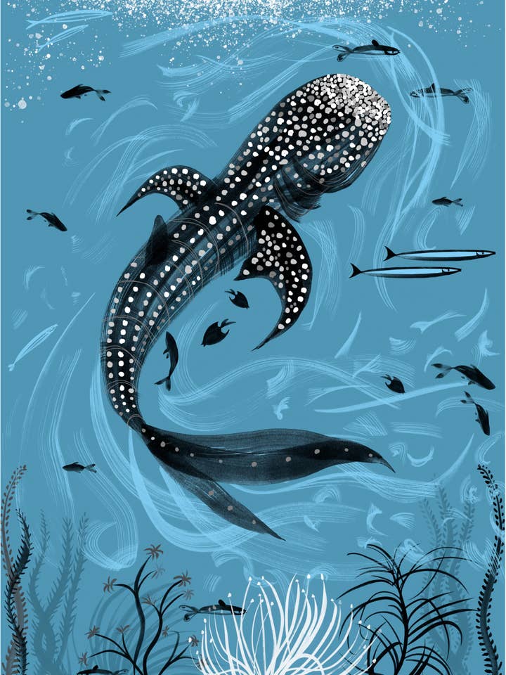 ART PRINT – 'WHALE SHARK' (A5, A4 & A3) for wholesale by Lydia. London