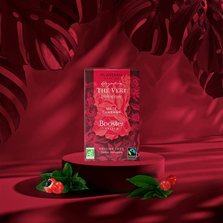 PROVENCE D'ANTAN - Wholesale Health/Detox Tea - Organic Green Tea Booster Mate Guarana*1