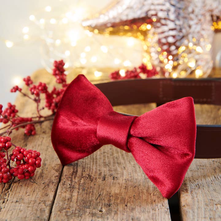 Sweet William Designs - Wholesale Pet Bow Tie - Dog - Bow Tie - Christmas Red Velvet3