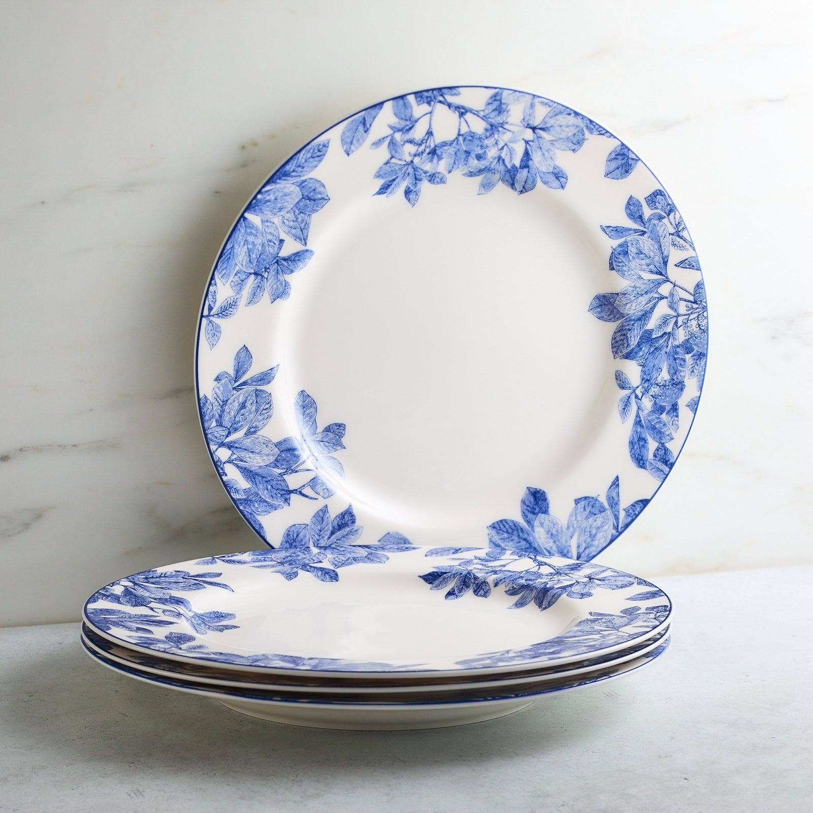 Caskata - Wholesale Dinner Plate - Arbor Rimmed Dinner Plate6