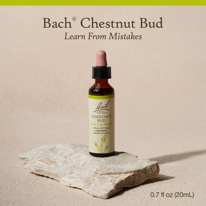 RESCUE & Bach Original Flower Remedies - Wholesale Oral Supplement/Vitamin - Bach Flower Remedies Chestnut Bud Oral Supplement