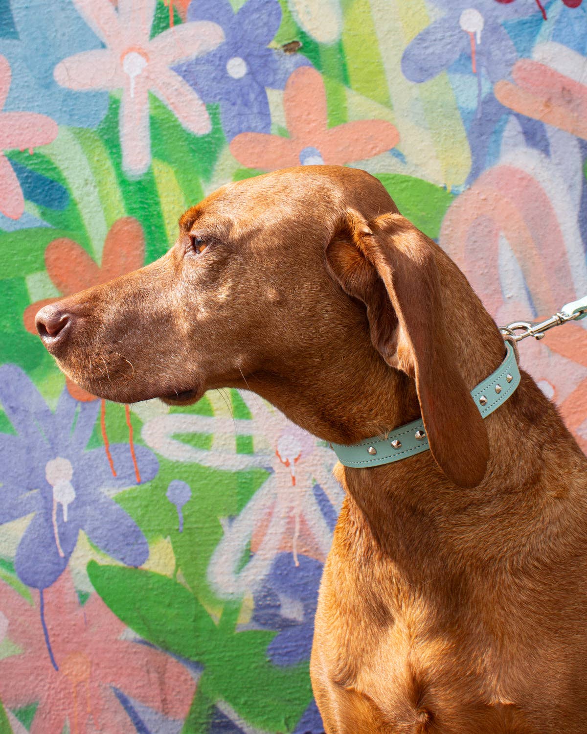 Hiro + Wolf – wholesale Pet collar – Dog – Luxury Leather Duo Tone Studded Dog Collar 'Mint + Tan'4