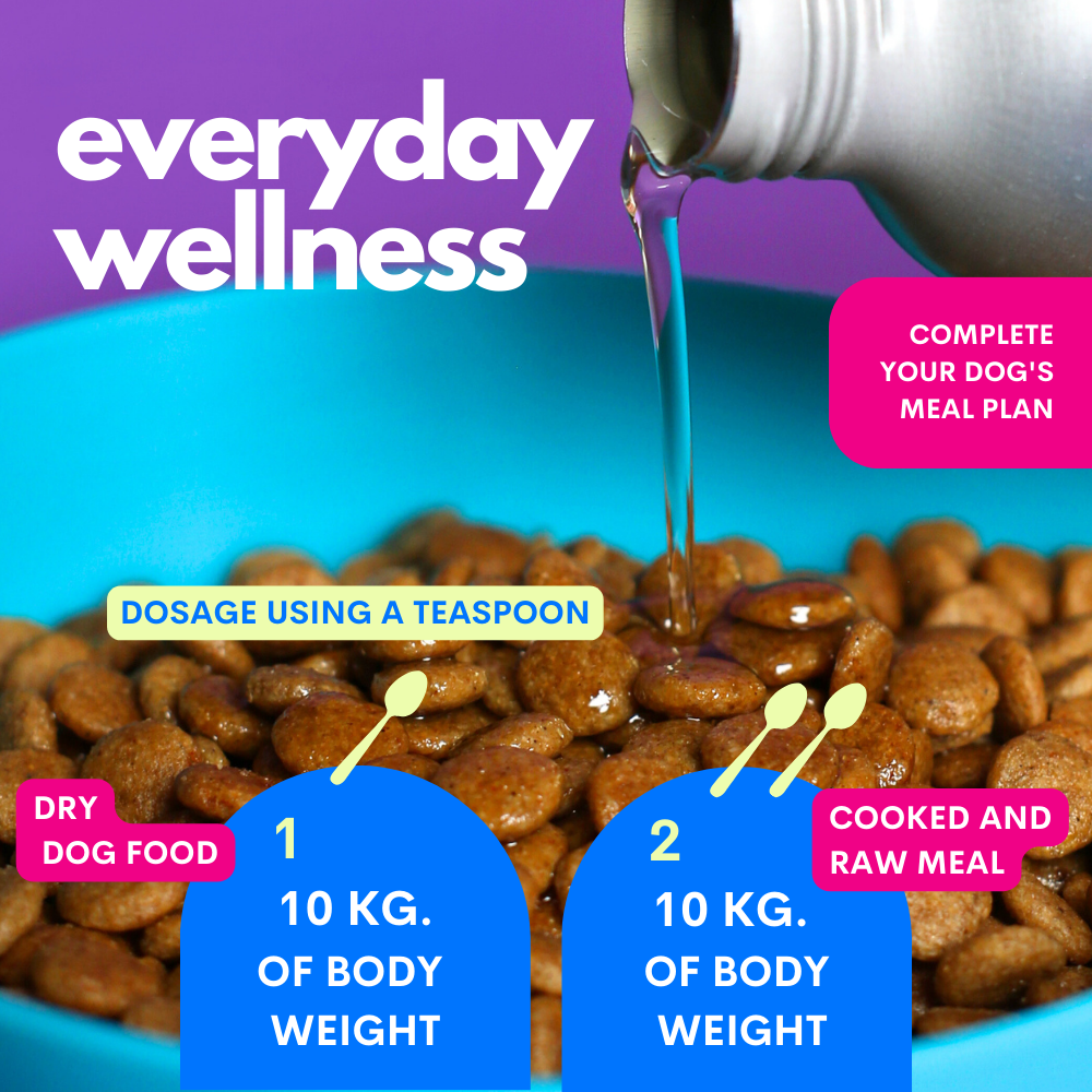 JAMPY - Wholesale Pet Supplement - Cat/Dog - The Smart Omega - Plant-based Omega3 Oil for Dogs4