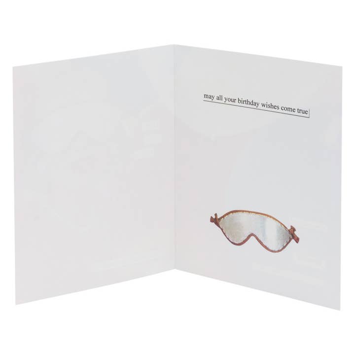 Boston International - Wholesale Birthday Card - Birthday Card Pinata Anne Taintor1