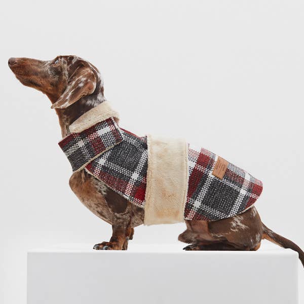 ARISTOPET – wholesale Ytterkläder - Hund – HUNDROCK LÖV6