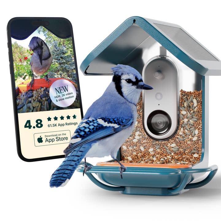 Birdbuddy Pro Solar Smart Bird Feeder + Perch Extender for wholesale by Bird Buddy