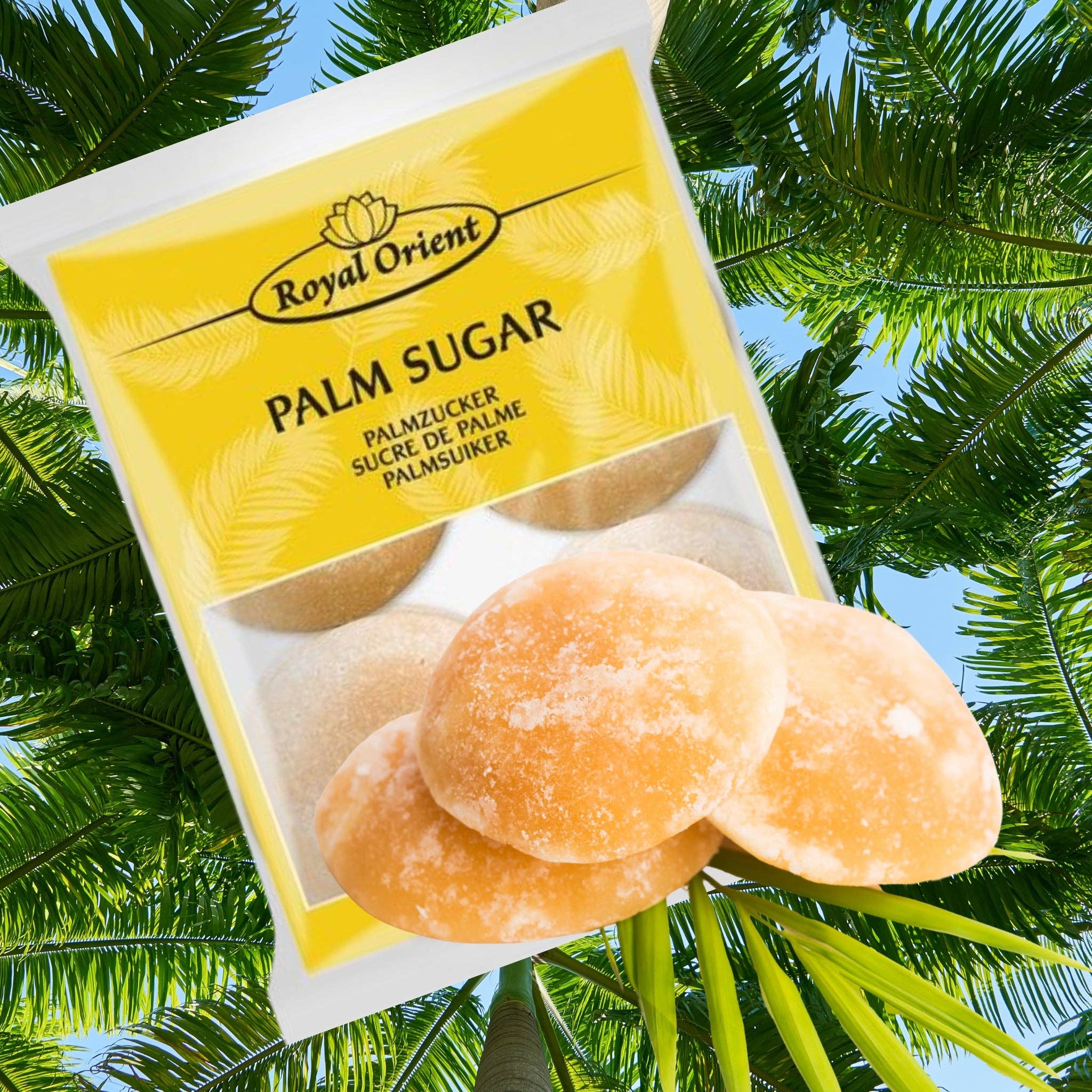 utoppa GmbH - Wholesale Sugar/Sweetener - ROYAL ORIENT Palm Sugar 254 g1