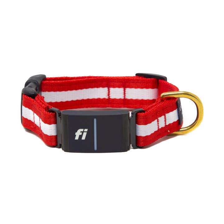 Fi Collar Band - Crimson for wholesale by LUCKY + DOG