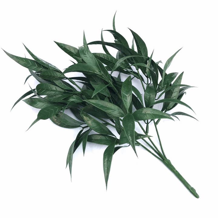 Tige en chêne saule vert foncé résistante aux UV 30 cm pour la vente par Designer Plants AU