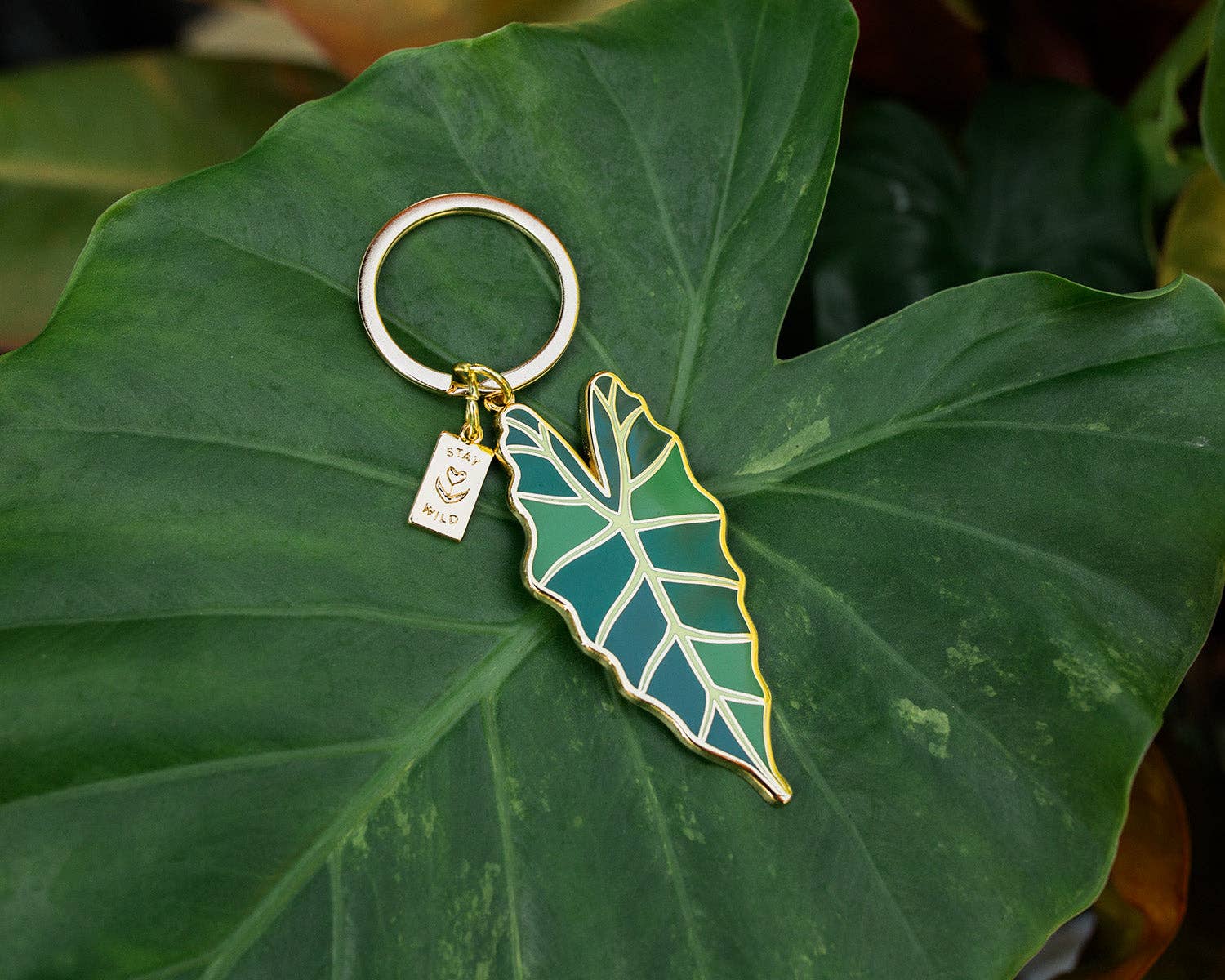 Wildship Studio - Wholesale Keychain - Women's - Jungle Leaf Stay Wild Keychain3