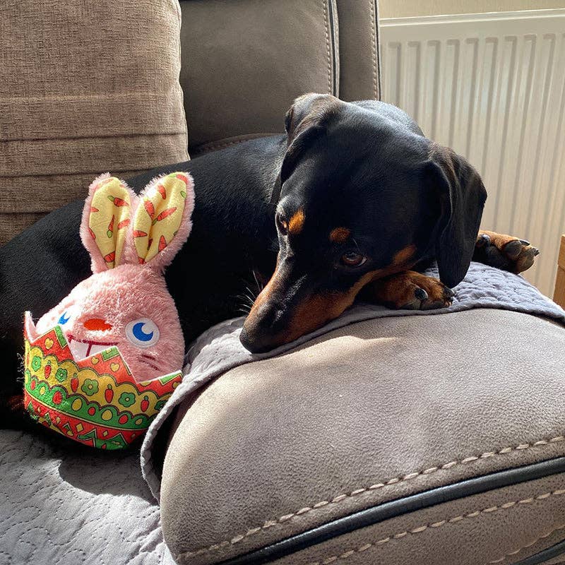 WufWuf – wholesale Pet plush toy – Dog – WufWuf Rabbit In The Egg Shell Interactive Plush Dog Toy9