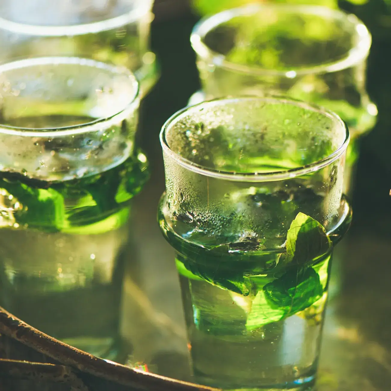 LUMINANTE - Wholesale Jar/Filled Candle - The candle that becomes a Verbena-Mint plant "coco" model5