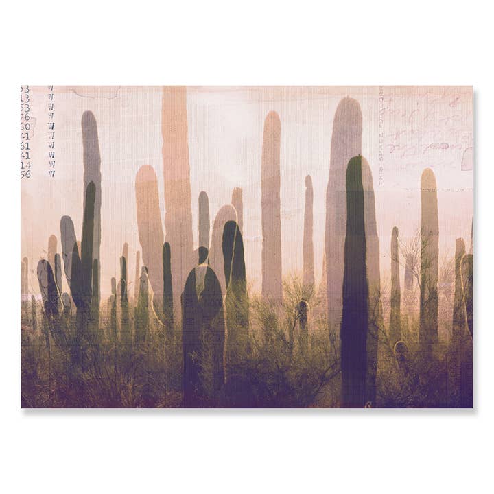 30527 Postcard 5x7 Cactus Collage for wholesale by Erthpeople