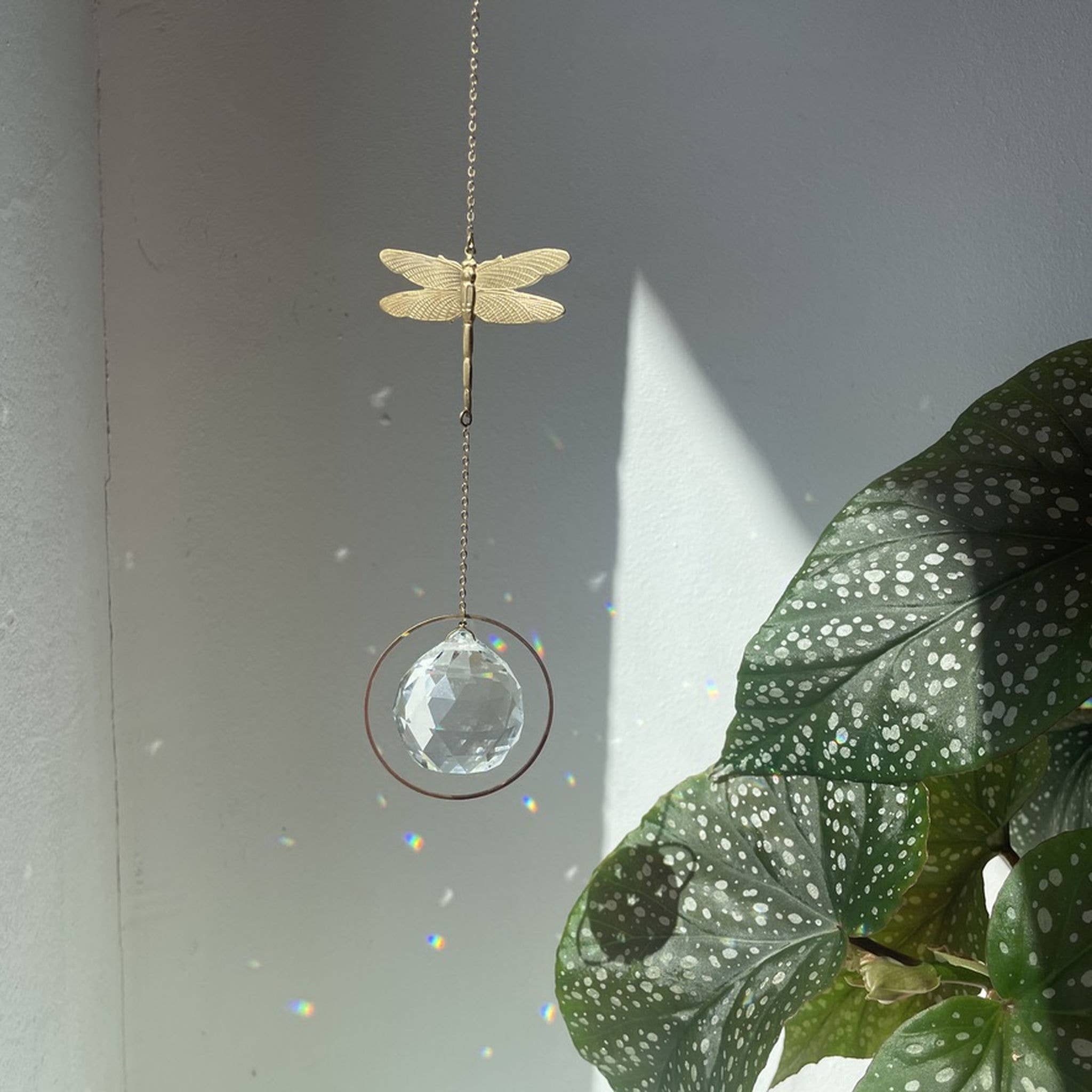 von Lani = Jewellry + Suncatchers - Wholesale Suncatcher - Sun catcher dragonfly, light catcher, sun crystal, prism1