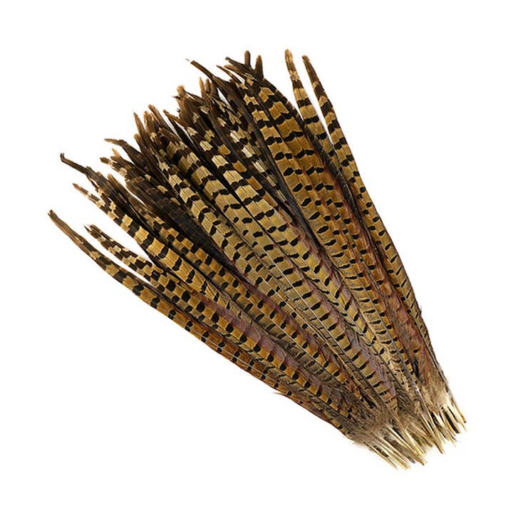 10 unidades/paquete de colas de faisán con cuello anular, de 16 a 18 pulgadas, color natural para venta al por mayor de Zucker Feather Products