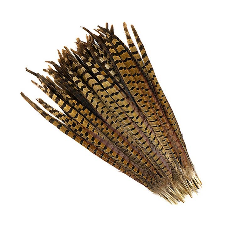 10 PC/PKG Ringneck Pheasant Tails 16-18" - Natural and other Purchase Wholesale piume struzzo. Free Returns & Net 60 Terms on Faire trending on Faire.