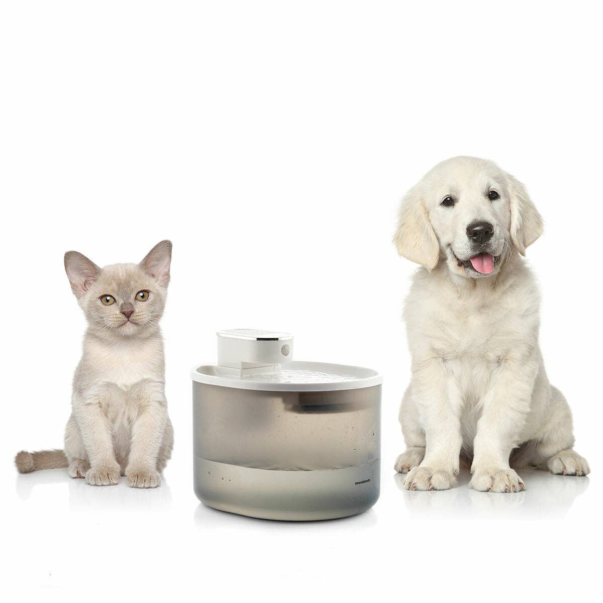 InnovaGoods - Wholesale Pet Bowl - Cat/Dog - InnovaGoods Refopet Rechargeable Cat Fountain with Sensor9