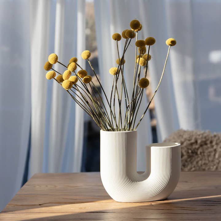 Oasis of Life – Engroshandel Tørrede/pressede blomster – Craspedia – Trommestikker – Tørrede & konserverede tørrede blomster (30–40 cm) – I hvid, gul, pink, lilla, abrikos, blå, orange, rød eller brun – 1 stilk eller bundt med 5 stykker – Holdbar & vedligeholdelsesfri3