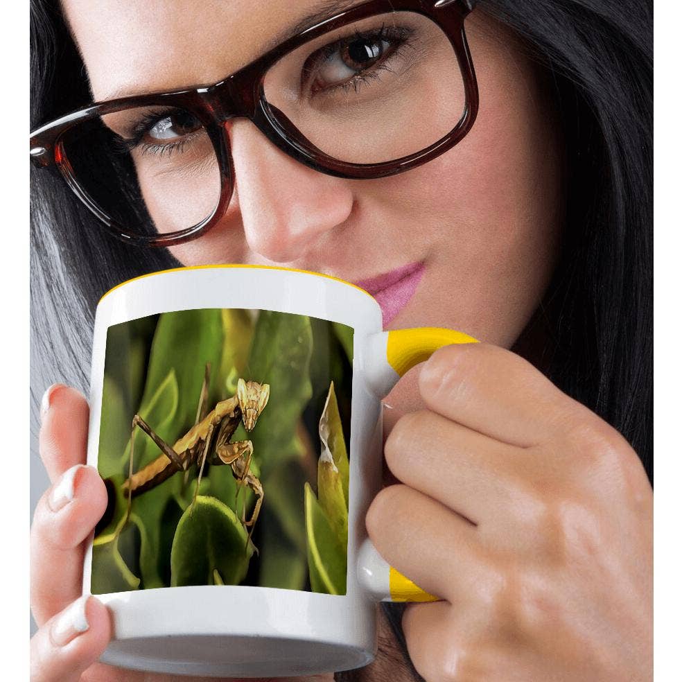 3dRose – wholesale Coffee mug – 3dRose, Praying Mantis On Green Garden Background, Mug1