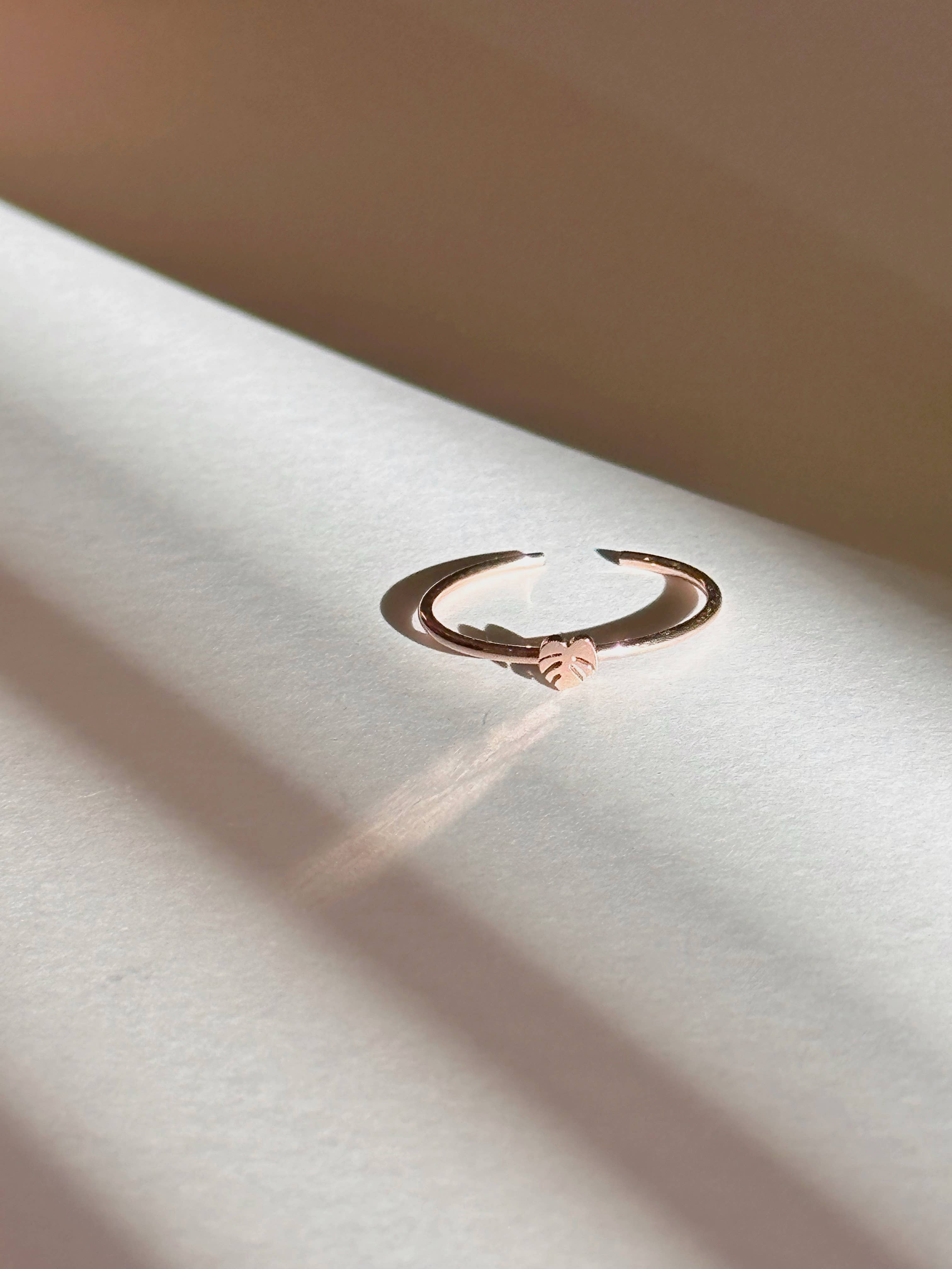 Dainty Little Tiny Things - Wholesale Band/Stacked Ring - Tiny Monstera Deliciosa Plant Ring | Hypoallergenic5