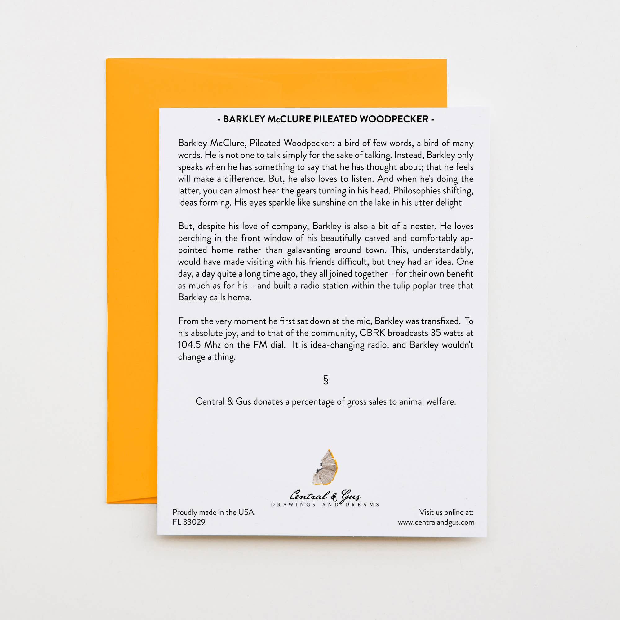 Central & Gus - Wholesale Stationery/Notecard Set - Barkley McClure Pileated Woodpecker Note Card1