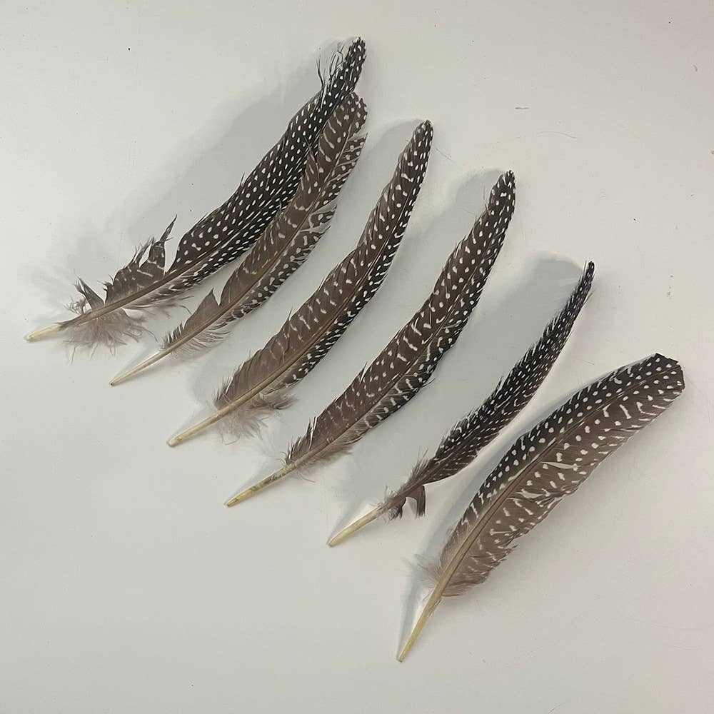 VIE – Großhandel Räucherbündel – Truthahnfeder, natur, 15-20 cm, einzeln4