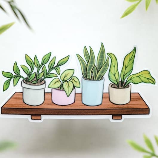 Plant Shelf Sticker | Botanical Sticker for wholesale by CarleyBethCreations