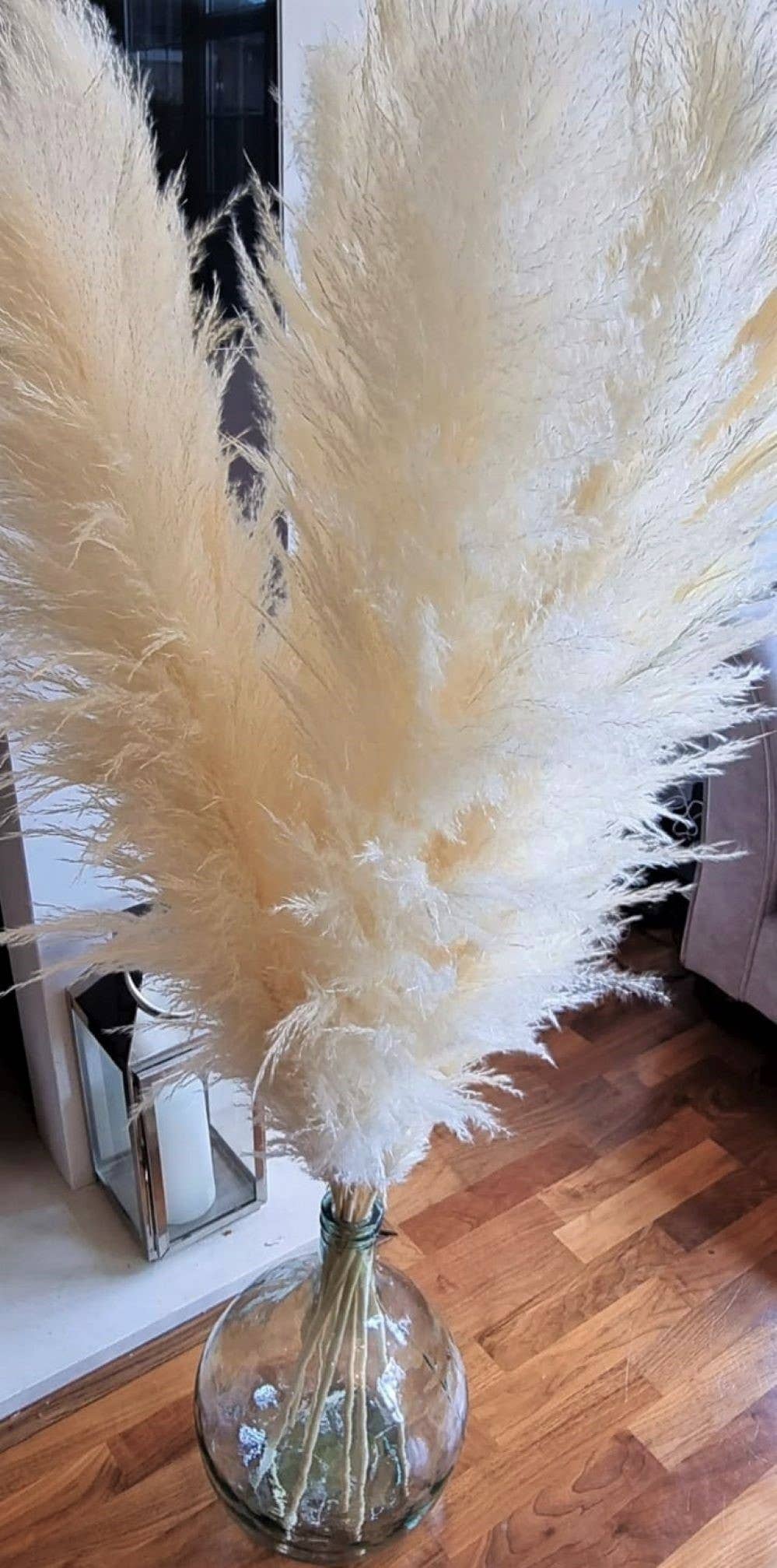 LoveProducts Ltd - Wholesale Dried/Pressed Flowers - Large Pampas Grass Ivory cream pampass grasses decor5