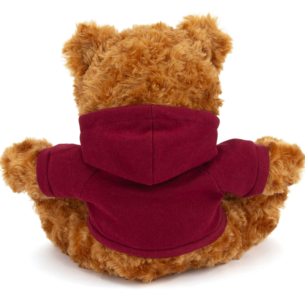Plushland – wholesale Stuffed/plush toy – Kids & baby – 11" Personalized Teddy Bear in Hoodie | Custom Sitting Bear25
