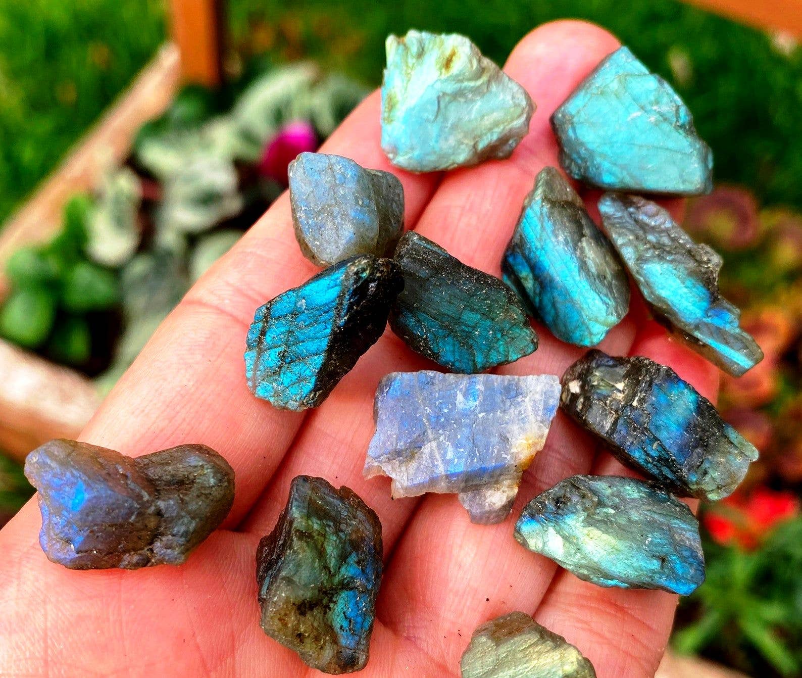 Elf Kendal Hippies - Venta al por mayor Piedras/cristales espirituales - Labradorita en bruto 10-20mm gema natural de labradorita brillante2