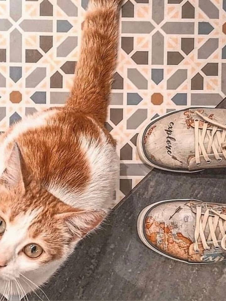 Explore | Sneakers Women's Sneakers for wholesale by The Painted Shoe & Bag