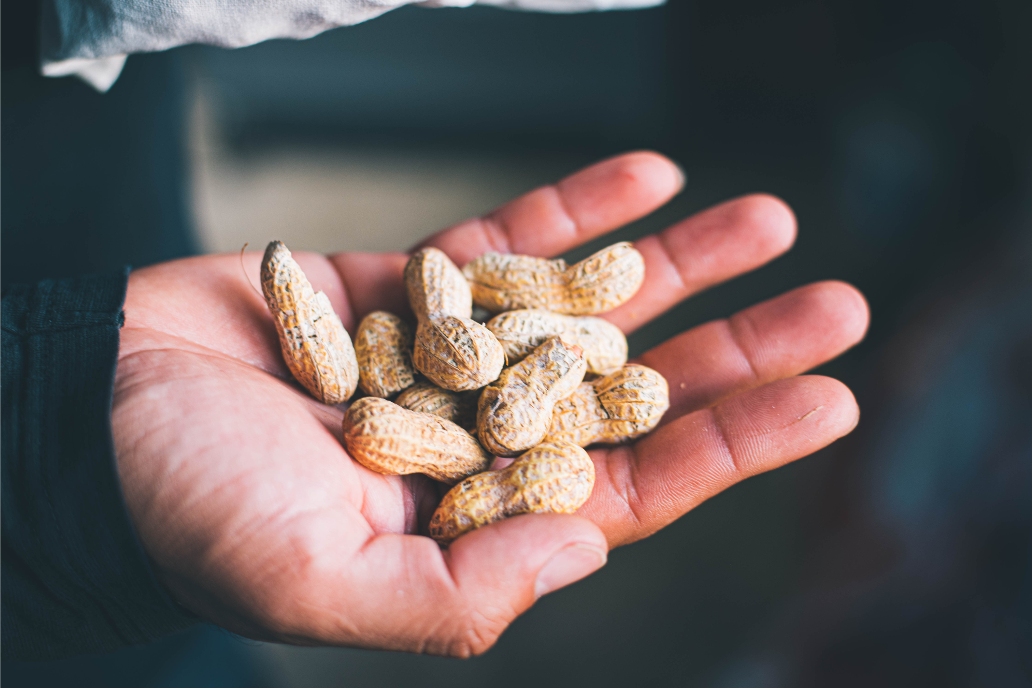 Tennessee Peanut Company - Wholesale Nuts - Raw 2 Pound In-Shell Peanuts (For Boiled Peanuts)1