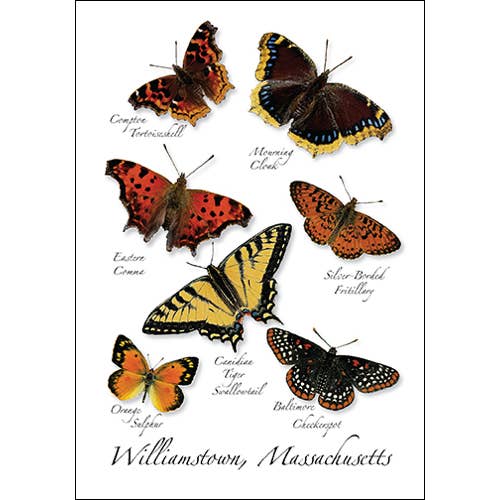 Ne Butterfly I for wholesale by Earth Sky + Water