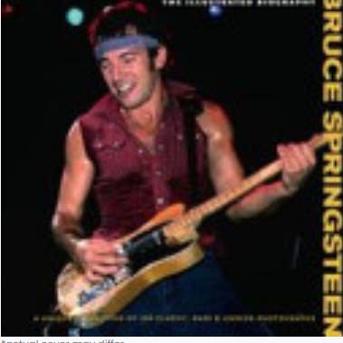 Real Retro - Wholesale Biography & Memoir - Bruce Springsteen Chris Rushby Book