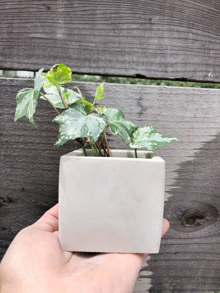 Medium Square Concrete Pot for wholesale by Made By Rheal