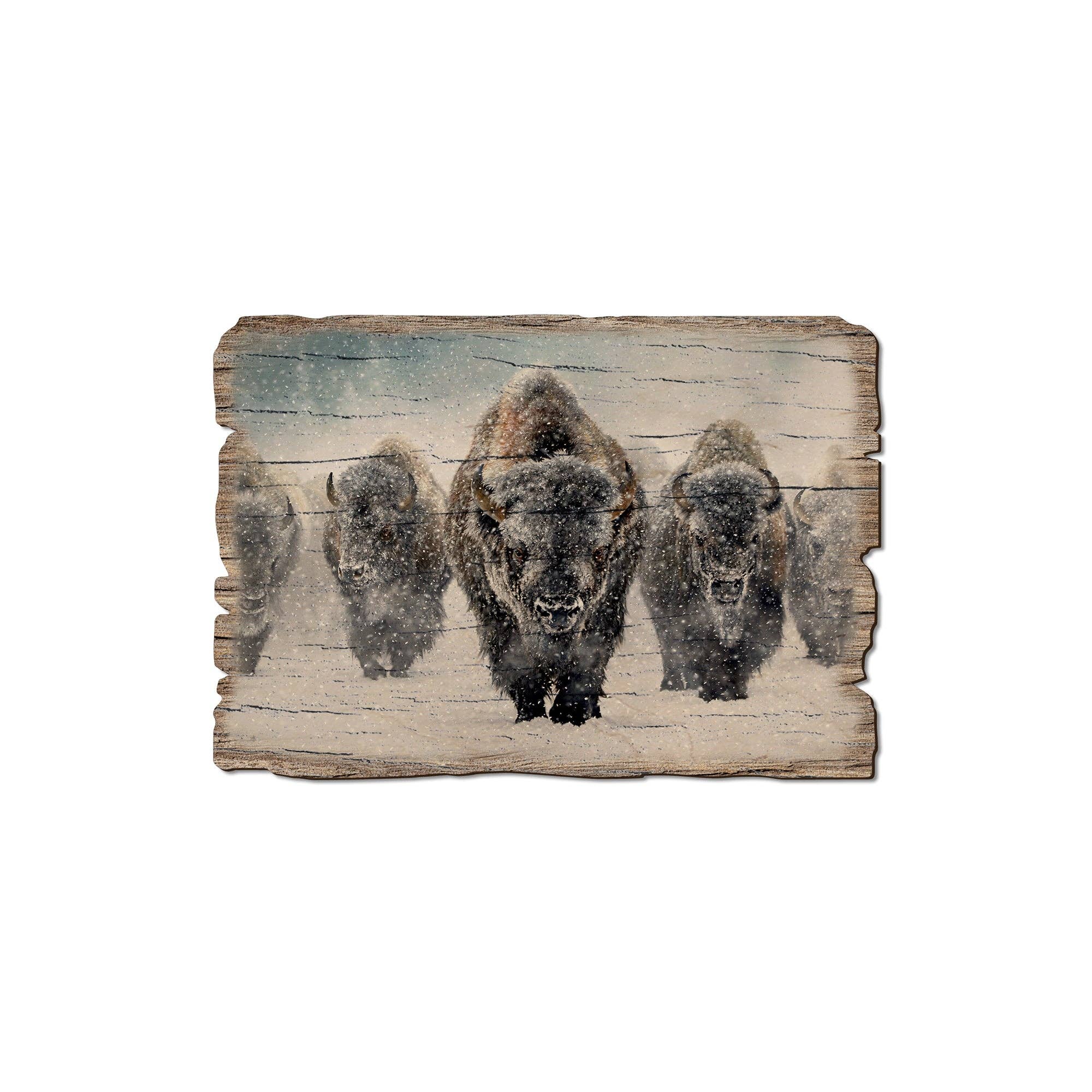DaydreamHQ - Wholesale Postcard - The Indomitable Bison - Wood Rustic Edge Postcards & Magnets1