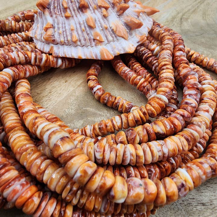Beads Creation - Wholesale Beads - Orange Spiny Oyster Shell Rondelle BeadsHigh Quality PRP833A2