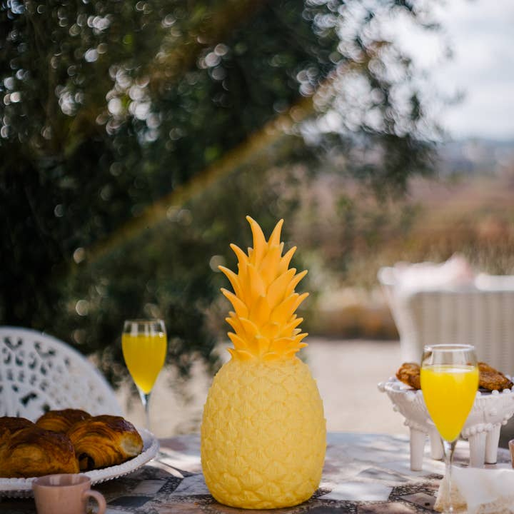 Goodnight Light - Wholesale Accent/Desk Lamp - The Piñacolada Lamp - indoor/outdoor rechargeable lamp3