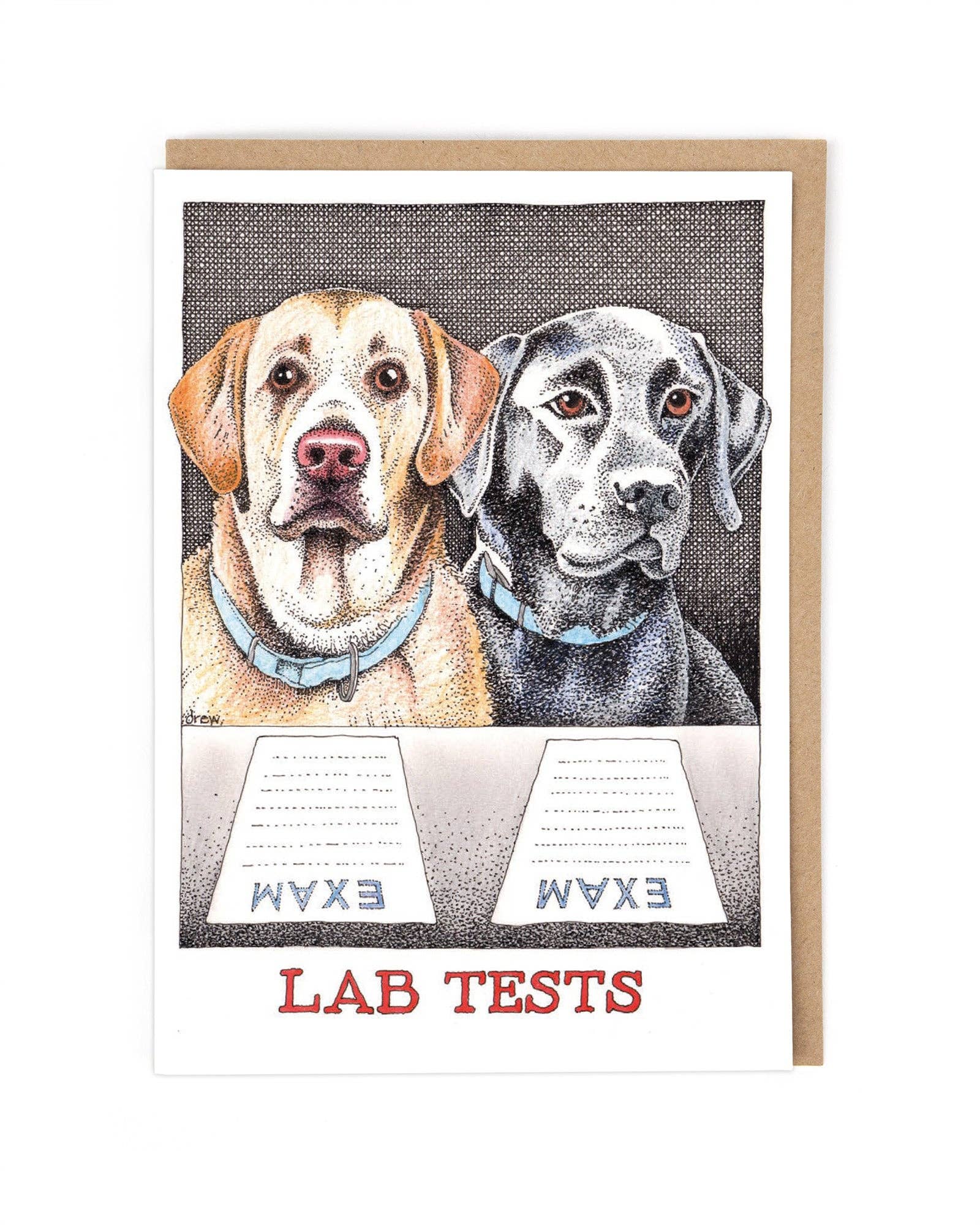 Cath Tate Cards – wholesale Everyday greeting card – LAB TESTS 0